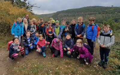 Wanderung auf den Meuchelberg