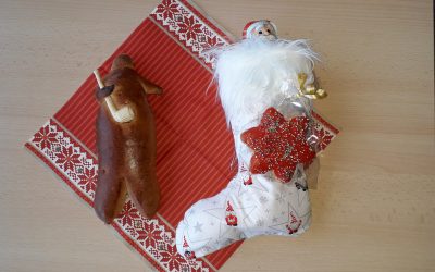 Als der Nikolaus den Weg in die Katzenklasse fand…