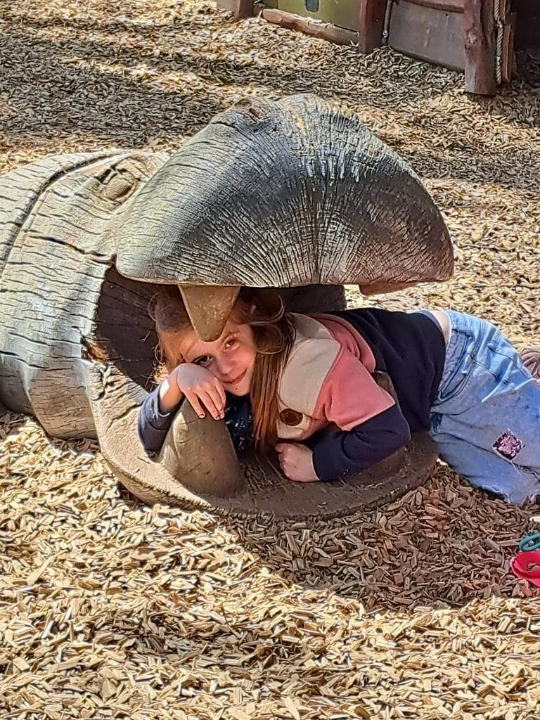 Ene Besoch em Zoo…ohohohoh…ne wat is dat schön GGS Schönblick